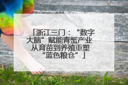 浙江三门：“数字大脑”赋能青蟹产业 从育苗到养殖重塑“蓝色粮仓”