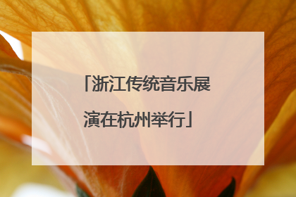 浙江传统音乐展演在杭州举行