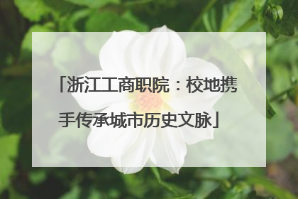 浙江工商职院：校地携手传承城市历史文脉