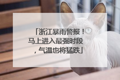 浙江暴雨警报！马上进入最强时段，气温也将猛跌