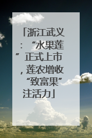 浙江武义：“水果莲”正式上市，莲农增收“致富果”注活力