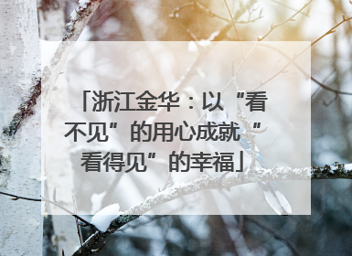 浙江金华：以“看不见”的用心成就“看得见”的幸福