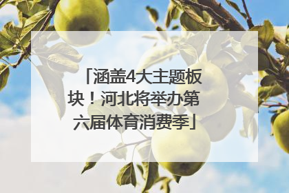 涵盖4大主题板块！河北将举办第六届体育消费季