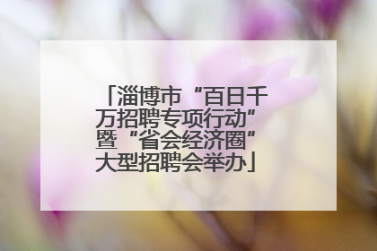 淄博市“百日千万招聘专项行动”暨“省会经济圈”大型招聘会举办