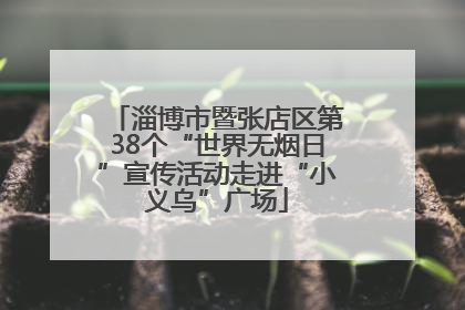 淄博市暨张店区第38个“世界无烟日”宣传活动走进“小义乌”广场