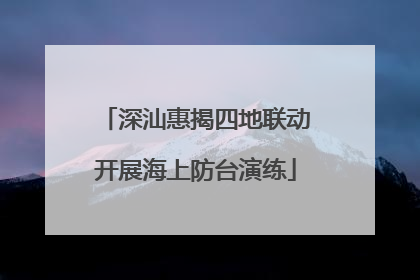 深汕惠揭四地联动开展海上防台演练