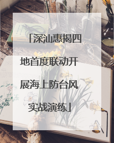 深汕惠揭四地首度联动开展海上防台风实战演练