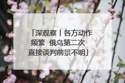 深观察丨各方动作频繁  俄乌第二次直接谈判前景不明