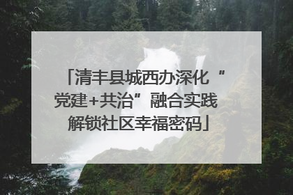 清丰县城西办深化“党建+共治”融合实践 解锁社区幸福密码