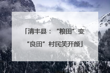 清丰县：“粮田”变“良田”村民笑开颜