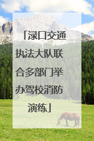 渌口交通执法大队联合多部门举办驾校消防演练