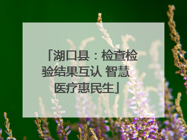 湖口县：检查检验结果互认 智慧医疗惠民生