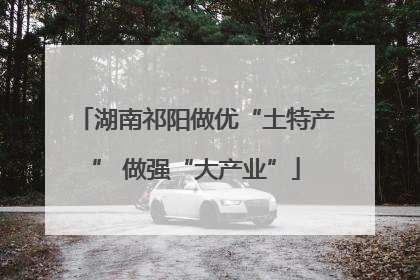 湖南祁阳做优“土特产” 做强“大产业”