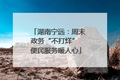 湖南宁远：周末政务“不打烊” 便民服务暖人心