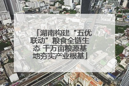 湖南构建“五优联动”粮食全链生态 千万亩粮源基地夯实产业根基