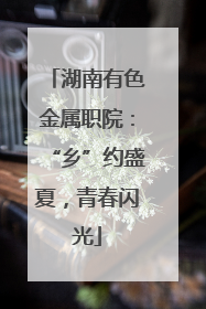 湖南有色金属职院：“乡”约盛夏，青春闪光