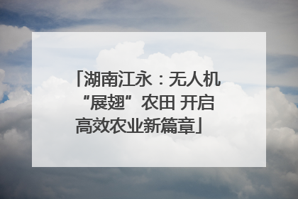 湖南江永：无人机“展翅”农田 开启高效农业新篇章