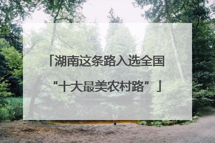 湖南这条路入选全国“十大最美农村路”