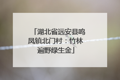 湖北省远安县鸣凤镇北门村：竹林遍野绿生金