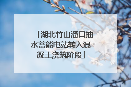 湖北竹山潘口抽水蓄能电站转入混凝土浇筑阶段