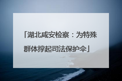 湖北咸安检察：为特殊群体撑起司法保护伞