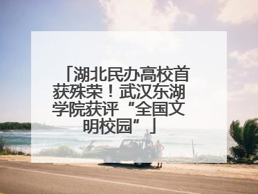 湖北民办高校首获殊荣！武汉东湖学院获评“全国文明校园”