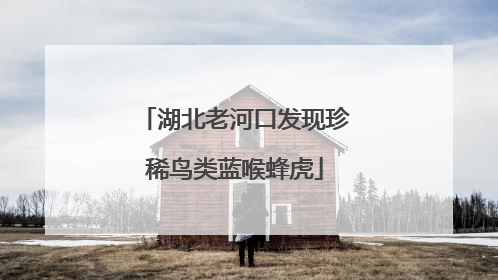 湖北老河口发现珍稀鸟类蓝喉蜂虎