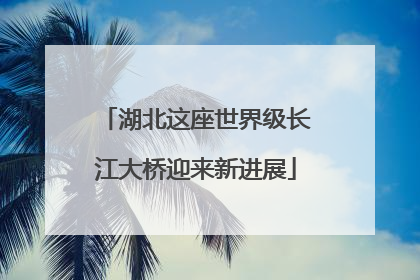 湖北这座世界级长江大桥迎来新进展
