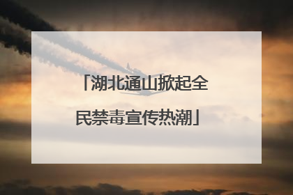 湖北通山掀起全民禁毒宣传热潮