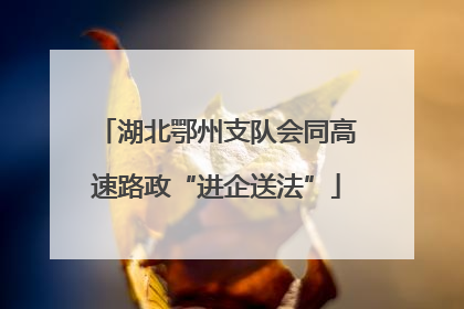 湖北鄂州支队会同高速路政“进企送法”