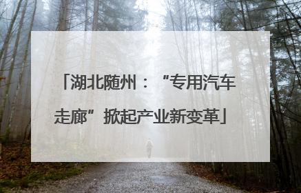 湖北随州：“专用汽车走廊”掀起产业新变革