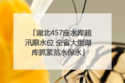 湖北457座水库超汛限水位 全省大型湖库抓紧蓄水保水