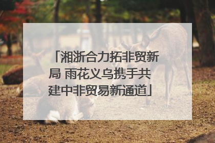 湘浙合力拓非贸新局 雨花义乌携手共建中非贸易新通道