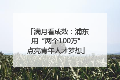 满月看成效：浦东用“两个100万”点亮青年人才梦想