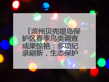 滨州贝壳堤岛保护区春季鸟类调查成果惊艳：多项纪录刷新，生态保护成效显著