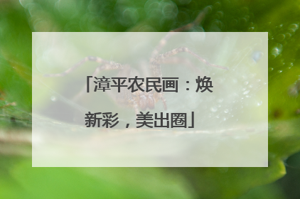 漳平农民画：焕新彩，美出圈