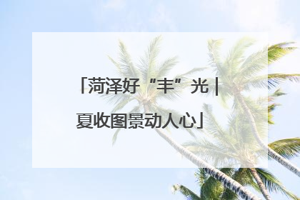 菏泽好“丰”光｜夏收图景动人心