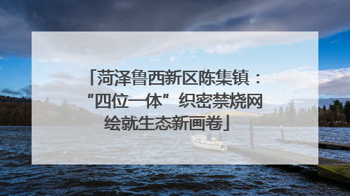 菏泽鲁西新区陈集镇：“四位一体”织密禁烧网 绘就生态新画卷