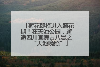 荷花即将进入盛花期！在天池公园，邂逅四川宜宾古八景之一“天池晚照”
