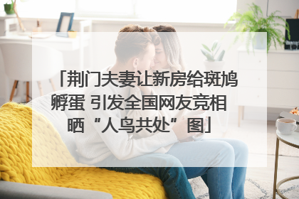 荆门夫妻让新房给斑鸠孵蛋 引发全国网友竞相晒“人鸟共处”图