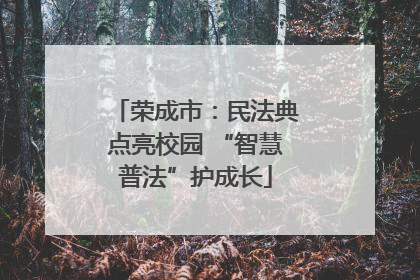 荣成市：民法典点亮校园 “智慧普法”护成长