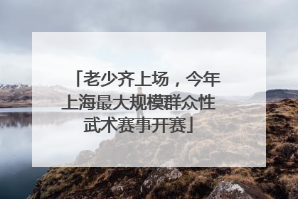 老少齐上场，今年上海最大规模群众性武术赛事开赛