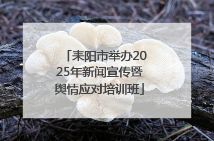 耒阳市举办2025年新闻宣传暨舆情应对培训班