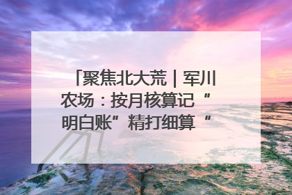 聚焦北大荒｜军川农场：按月核算记“明白账”精打细算“过紧日子”
