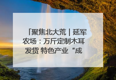 聚焦北大荒｜延军农场：万斤定制木耳发货 特色产业“成绩单”亮眼