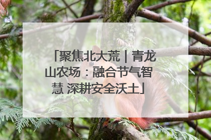 聚焦北大荒｜青龙山农场：融合节气智慧 深耕安全沃土