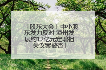 股东大会上中小股东发力反对 漳州发展约12亿元定增相关议案被否