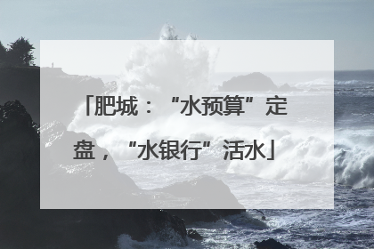 肥城：“水预算”定盘，“水银行”活水