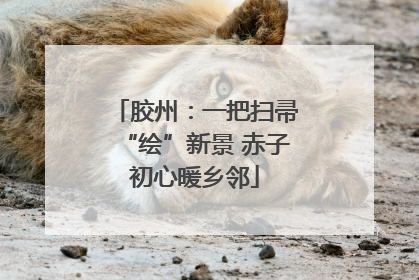 胶州：一把扫帚“绘”新景 赤子初心暖乡邻