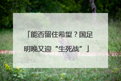 能否留住希望？国足明晚又迎“生死战”